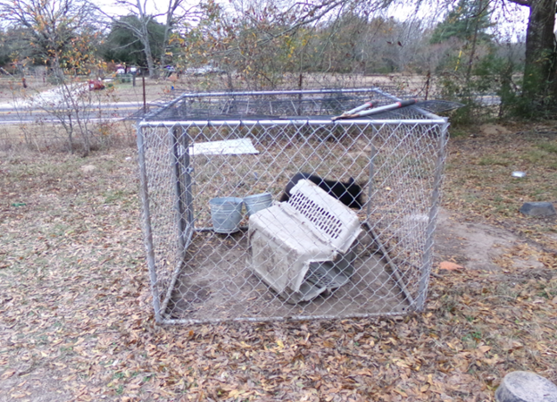 Deplorable conditions and deceptive business practices lead to federal charges under the Animal Welfare Act for Hopkins County dog breeder